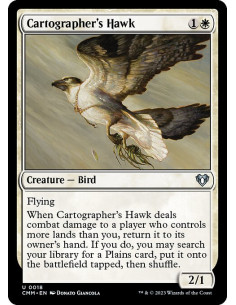 Cartographer's Hawk - Foil