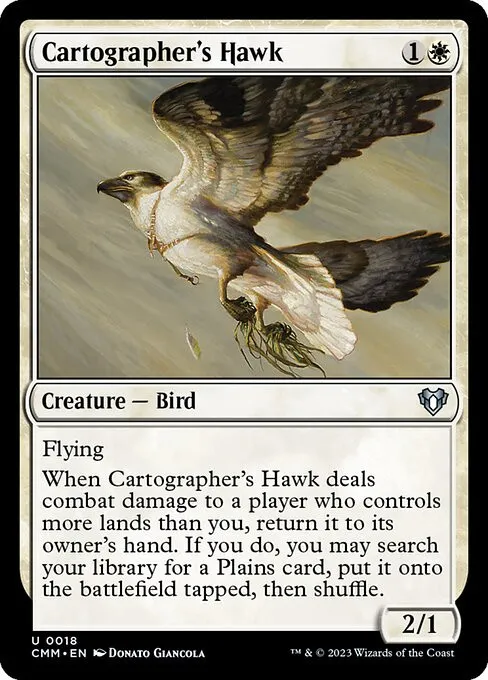 Cartographer's Hawk - Foil