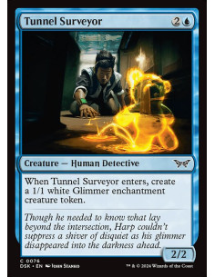 Tunnel Surveyor
