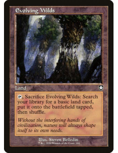 Evolving Wilds
