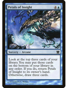 Petals of Insight - Foil