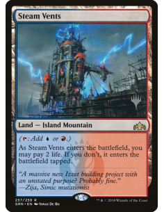 Steam Vents - Foil