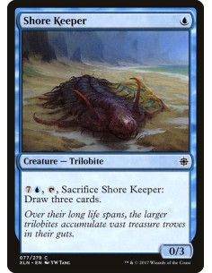 Shore Keeper