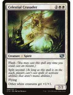 Celestial Crusader