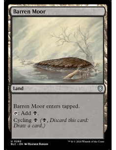 Barren Moor