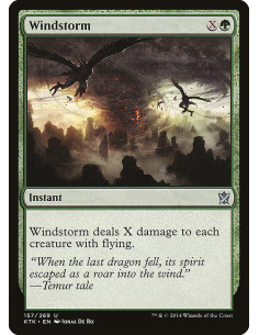 Windstorm