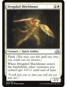 Drogskol Shieldmate - Foil