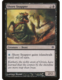Shore Snapper - Foil