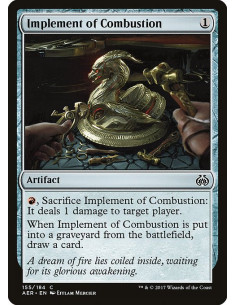 Implement of Combustion - Foil