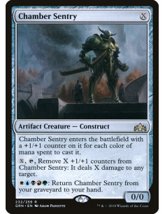 Chamber Sentry