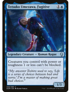 Tetsuko Umezawa, Fugitive - Foil