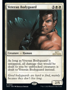 Veteran Bodyguard