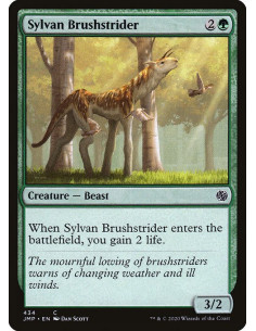 Sylvan Brushstrider