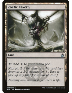 Zoetic Cavern - Foil