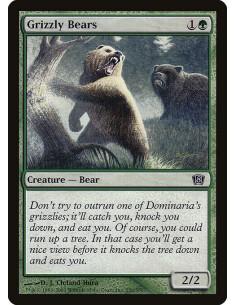 Grizzly Bears - Foil