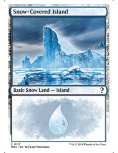 Snow-Covered Island
