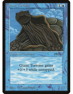Giant Tortoise