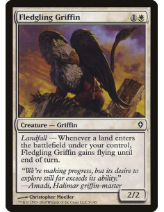 Fledgling Griffin