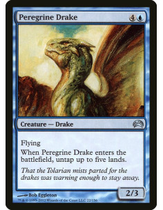 Peregrine Drake