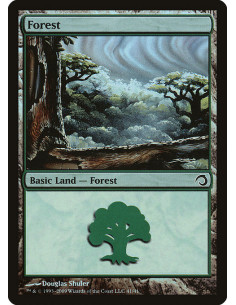 Forest - Foil