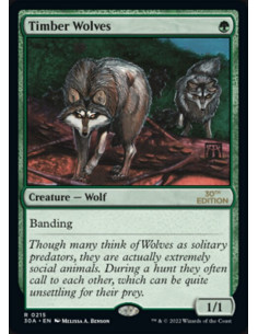 Timber Wolves
