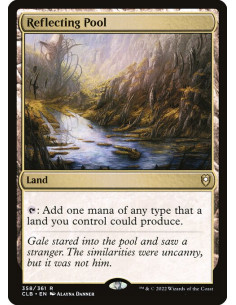 Reflecting Pool - Foil