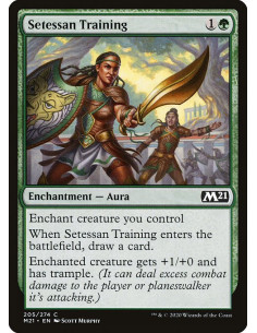 Setessan Training - Foil