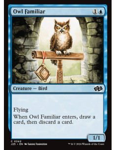 Owl Familiar