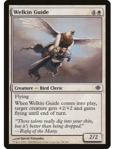 Welkin Guide