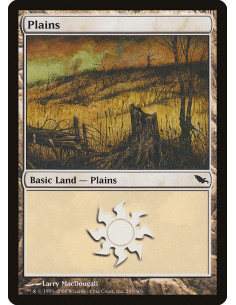 Plains
