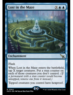 Lost in the Maze