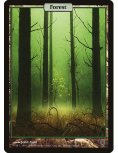 Forest - Foil
