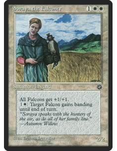 Soraya the Falconer