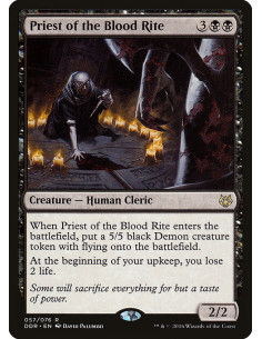 Priest of the Blood Rite