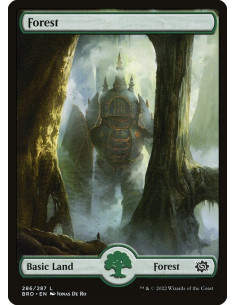 Forest - Foil