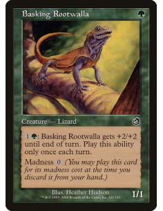 Basking Rootwalla