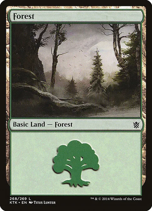 Forest - Foil