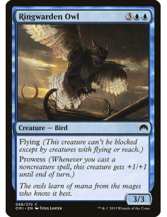 Ringwarden Owl - Foil