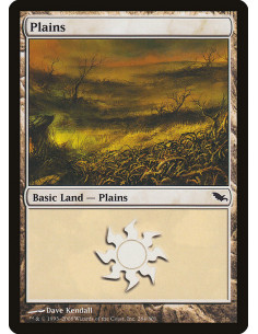 Plains - Foil