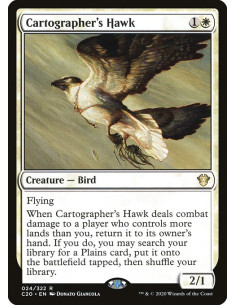 Cartographer's Hawk