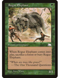 Rogue Elephant