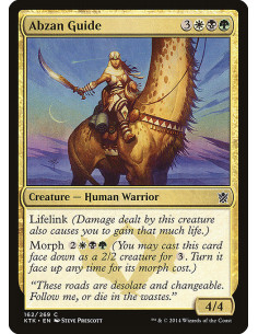 Abzan Guide