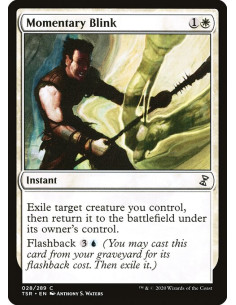 Momentary Blink - Foil