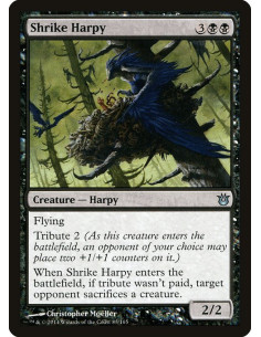 Shrike Harpy