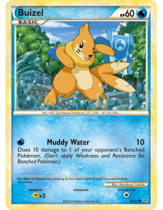 Buizel