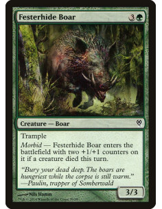 Festerhide Boar