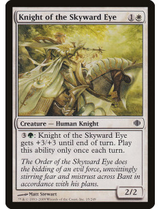 Knight of the Skyward Eye