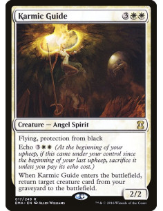Karmic Guide