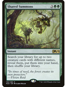 Shared Summons - Foil