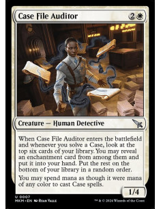 Case File Auditor - Foil